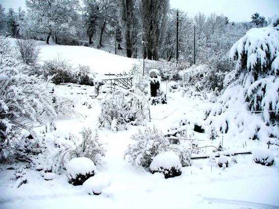 Entrée Jardin Botanique Hiver