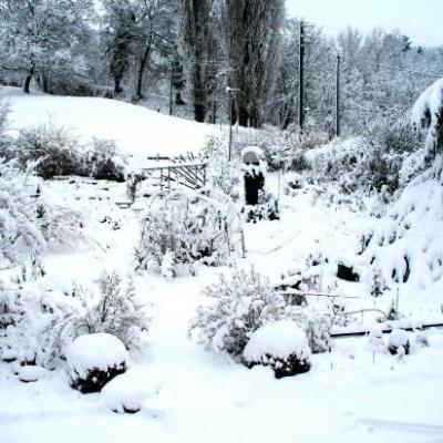 Entrée Jardin Botanique Hiver