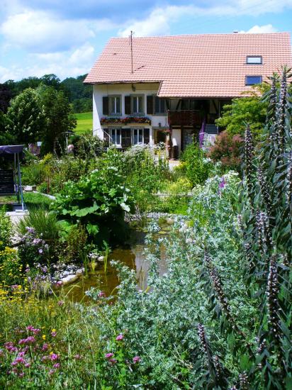 Vue ouest, biotope