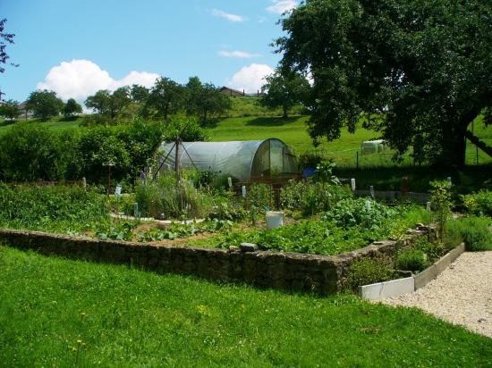 Vue Est Jardin potager