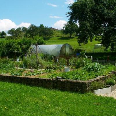 Vue Est Jardin potager