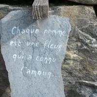 Pensée Végétale 18.03.2018