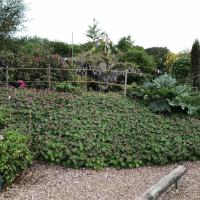 Jardinvuesgenerales 9 