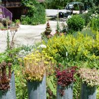 Jardinvuesgenerales1 24 