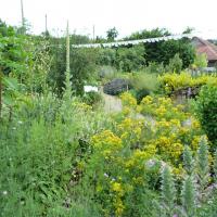 Jardinvuesgenerales1 25 