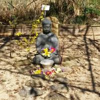 Jardinvuesgeneralesbuddhazen 2 